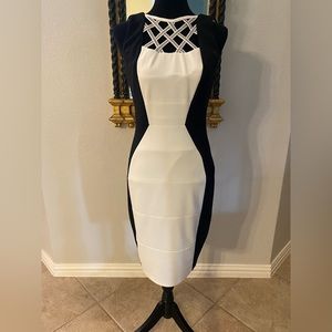 Jack Bodycon Dress Size 6, Machine Washable
